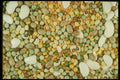 169087 Mixed Pulses A4 Photo Print