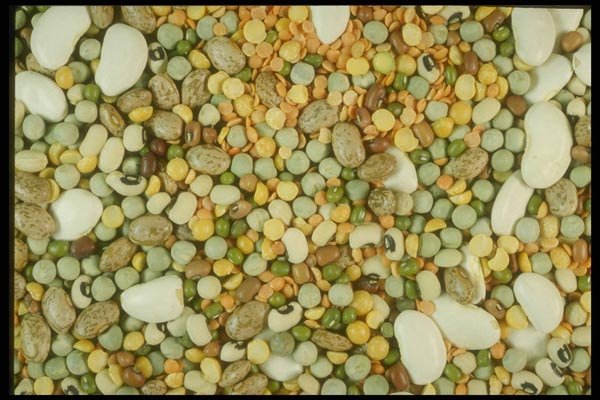 169087 Mixed Pulses A4 Photo Print