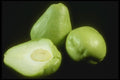 169091 Chayote A4 Photo Print