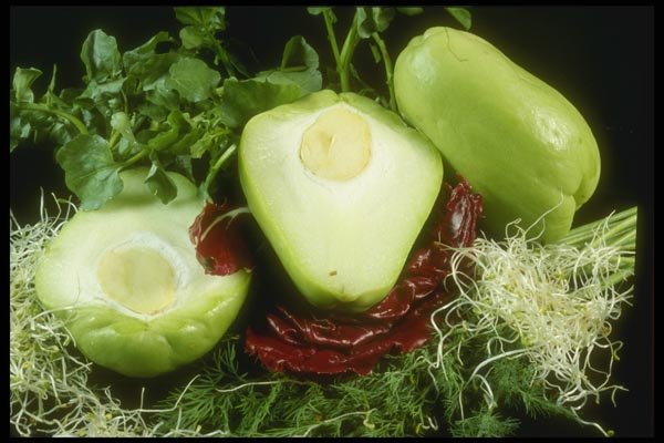 169096 Health Food A4 Photo Print