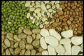 169097 Bean Soup A4 Photo Print