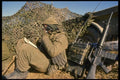 170005 Soldier With Radio And Rifle A4 Photo Print