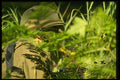 170007 Camouflage Training A4 Photo Print