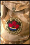170064 2 Combat Engineer Regiment Patch, Kuwait A4 Photo Print