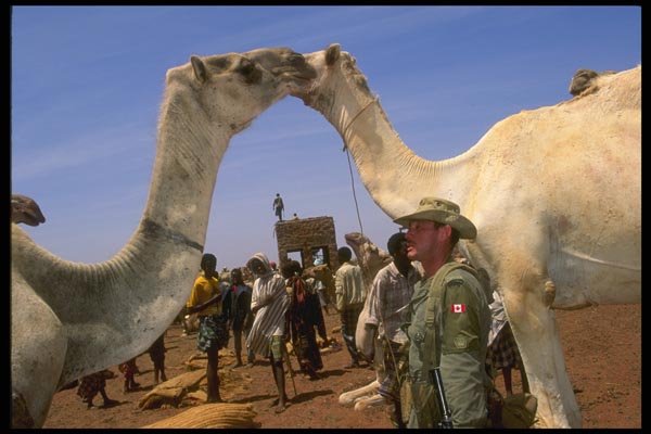 170071 Soldiers Among Camels, Somalia A4 Photo Print
