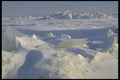 171003 Icy Horizons A4 Photo Print