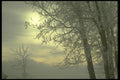 171004 Hoarfrost A4 Photo Print