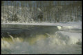 171007 Rapids A4 Photo Print