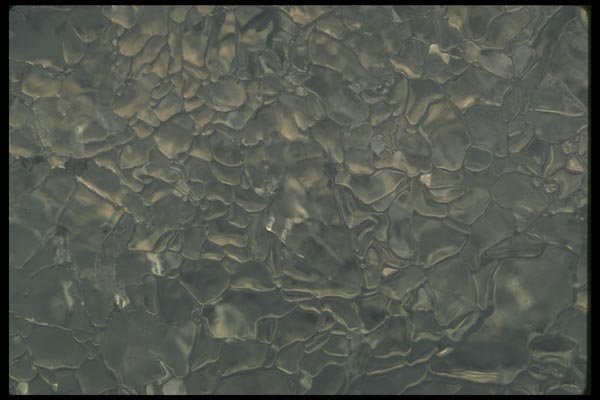 171009 Leaded Glass A4 Photo Print