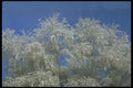 171010 After The Storm A4 Photo Print