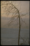 171011 Silhouette On Ice A4 Photo Print