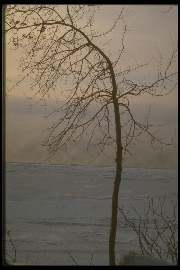 171011 Silhouette On Ice A4 Photo Print