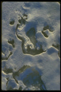 171014 Snow On Ice A4 Photo Print