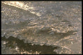 171024 Glittering Ice A4 Photo Print