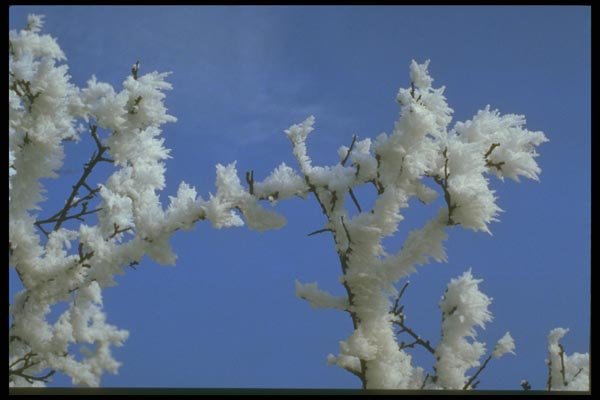 171032 Against A Blue Sky A4 Photo Print
