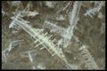 171041 Shards A4 Photo Print