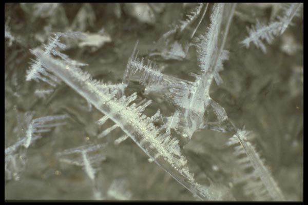171041 Shards A4 Photo Print