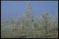 171046 Quiet A4 Photo Print