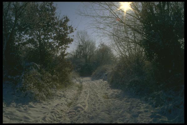 171048 Winter Walkway A4 Photo Print