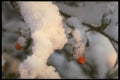 171049 Heavy Snow A4 Photo Print