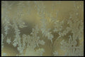 171053 Window Pane A4 Photo Print