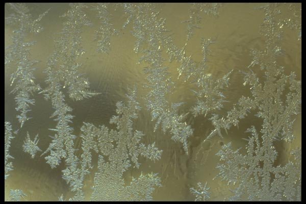 171053 Window Pane A4 Photo Print