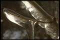 171061 Light Through Ice A4 Photo Print