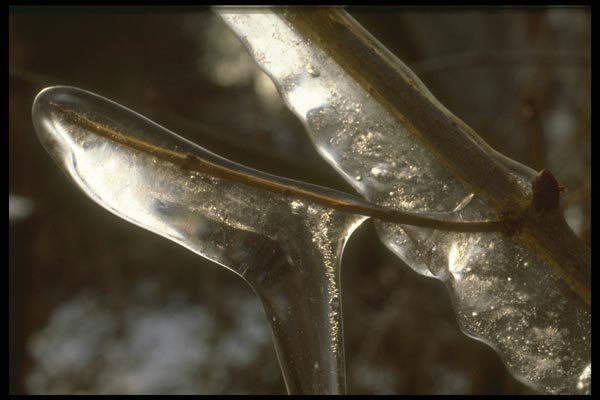 171061 Light Through Ice A4 Photo Print