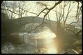 171068 Bridge A4 Photo Print