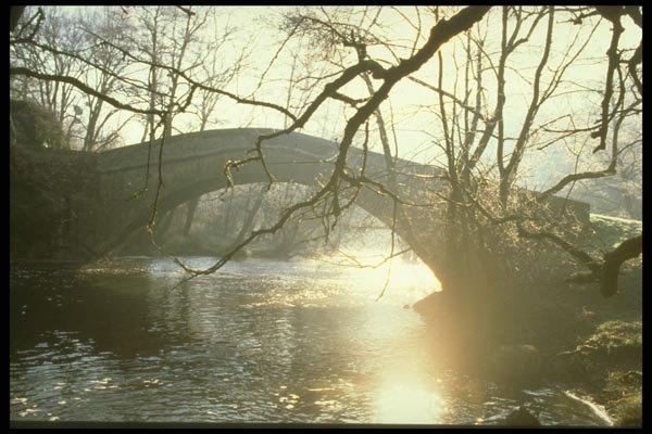 171068 Bridge A4 Photo Print