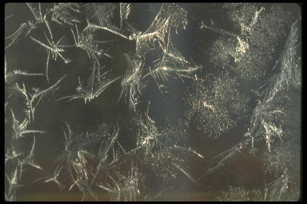 171073 Lacy Window A4 Photo Print