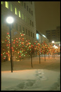 171077 Christmas Lights A4 Photo Print
