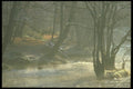 171089 In The Mist A4 Photo Print
