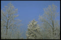 171090 White On Blue A4 Photo Print