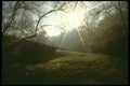 171093 First Frost A4 Photo Print