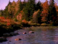 1719001980s 1990s A4 Photo Print