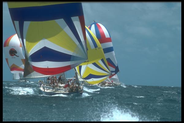 172010 Swan Class At Antigua Race Week A4 Photo Print