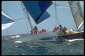 172014 Scamp And Fury Compete At The Onion Patch Series, Newport A4 Photo Print