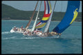 172035 Two Swans At Antigua Race Week A4 Photo Print