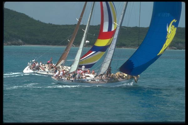 172035 Two Swans At Antigua Race Week A4 Photo Print