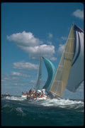 172042 Adagio At An All Swan Regatta, Edgartown, Massachusetts A4 Photo Print