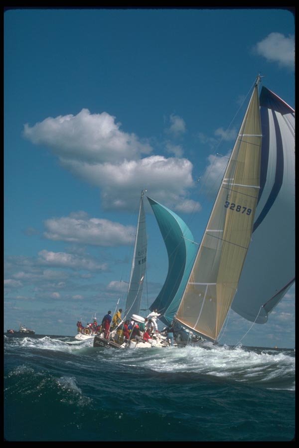 172042 Adagio At An All Swan Regatta, Edgartown, Massachusetts A4 Photo Print