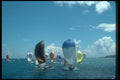 172071 Antigua Race Week Fleet Shows Its Full Color A4 Photo Print