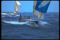 172080 Shockwave At The Kenwood Cup, Hawaii A4 Photo Print