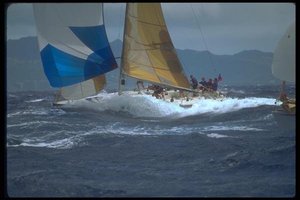 172081 Rare And Radical Monohull Surfing, Hawaii A4 Photo Print