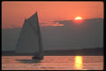 172088 Heading For Brooklin, Maine, A Friendship Sloop At Sundown A4 Photo Print