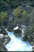 174001 Stream In Vesubie Valley A4 Photo Print