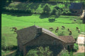 174019 Rural Landscape Near Rodez A4 Photo Print