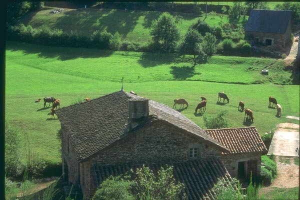 174019 Rural Landscape Near Rodez A4 Photo Print