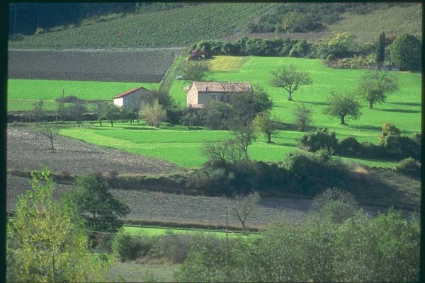 174022 Rural Landscape Near Carpentras A4 Photo Print
